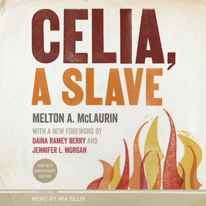 Summary of celia a slave