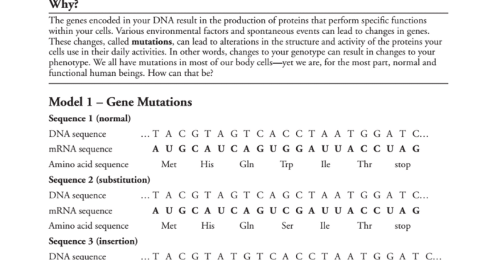 Gene expression - translation pogil