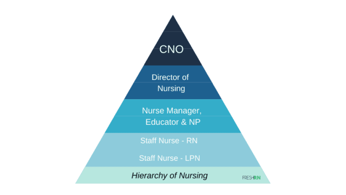 A charge nurse notes that a staff nurse delegates