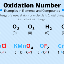 Assigning oxidation numbers practice worksheet