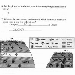 Schedules of reinforcement worksheet answers