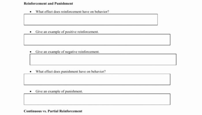 Schedules of reinforcement worksheet answers